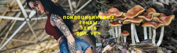 MDMA Premium VHQ Инта
