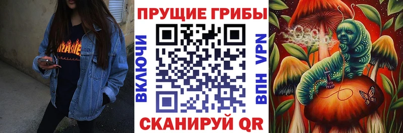 Псилоцибиновые грибы прущие грибы  Купить  Сибай 